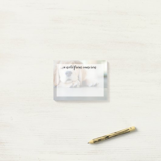 Post-it® Chiot doré de l'équipe de rétrification (Sur un bureau)