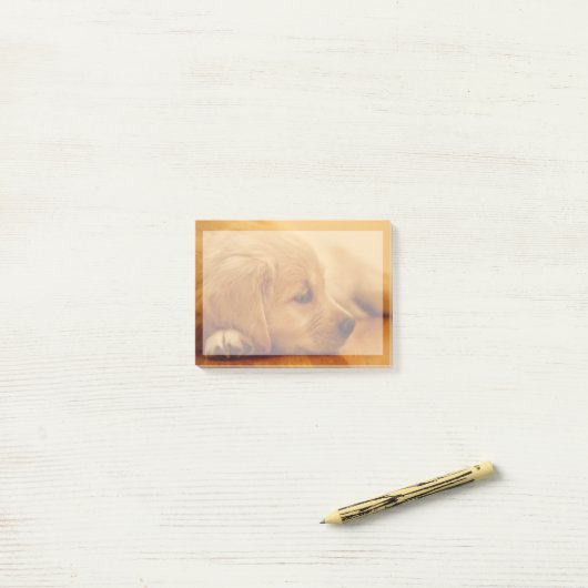 Post-it® Chiot Golden Retriever (Sur un bureau)