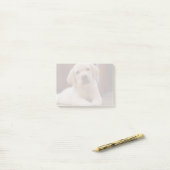 Post-it® Chiot jaune de Labrador de bébé s'étendant sur le (Sur un bureau)