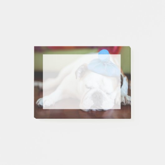Post-it® Chiot malade des images | de Getty jeune (Devant)