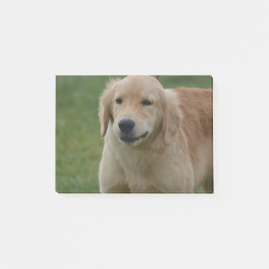 Post-it® Chiot mignon de golden retriever (Devant)