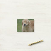 Post-it® Chiot mignon de golden retriever (Sur un bureau)