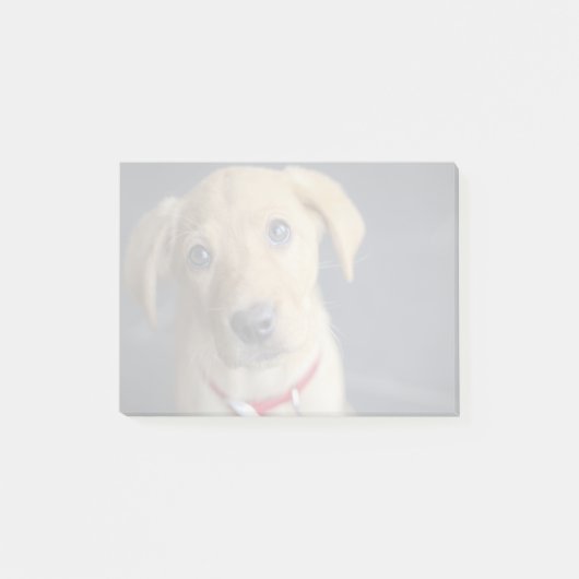 Post-it® Chiot rouge de Fox Labrador (Devant)