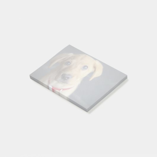 Post-it® Chiot rouge de Fox Labrador (Incliné)