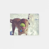 Post-it® Chiots jouant le bloc-notes de boule (Devant)