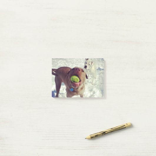 Post-it® Chiots jouant le bloc-notes de boule (Sur un bureau)