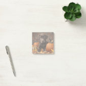 Post-it® Chocolat Labrador Retriever Automne (Bureau)