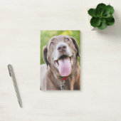 Post-it® Chocolate Labrador Dog (Bureau)