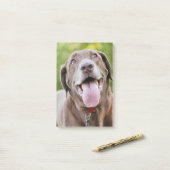 Post-it® Chocolate Labrador Dog (Sur un bureau)