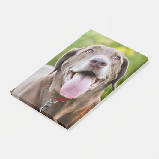 Post-it® Chocolate Labrador Dog (Incliné)