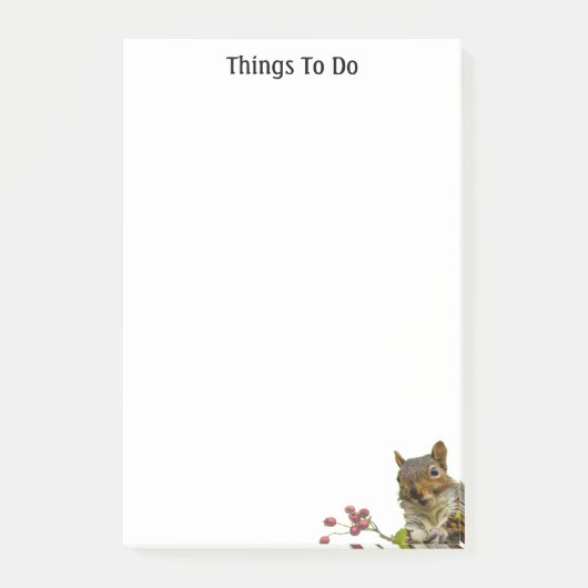 Post-it® Choses mignonnes à faire avec un écureuil sauvage (Devant)