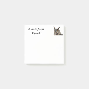 Post-it® Chouette