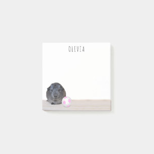 Post-it® Cobaye blanc rose de ballon de football de nouveau