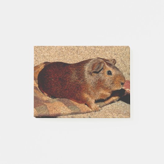 Post-it® Cobaye de regard de Corkboard (Devant)