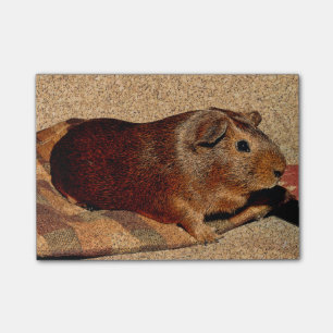 Post-it® Cobaye de regard de Corkboard