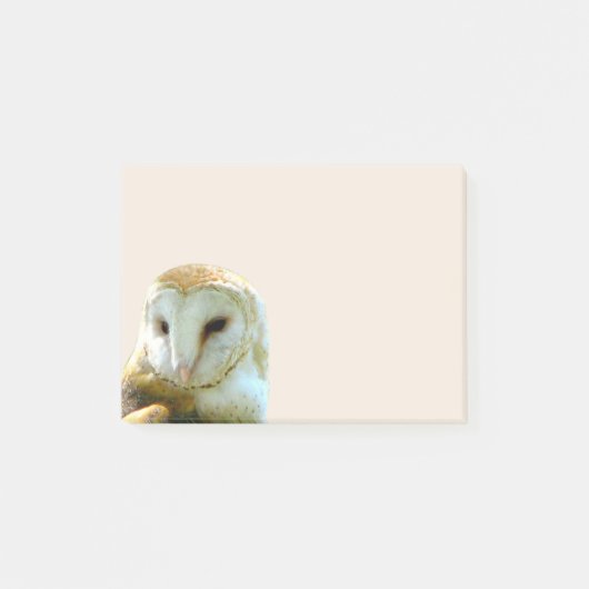 Post-it® Coin de hibou de grange (Devant)
