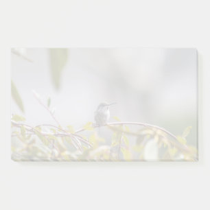 Post-it® Colibri 3346