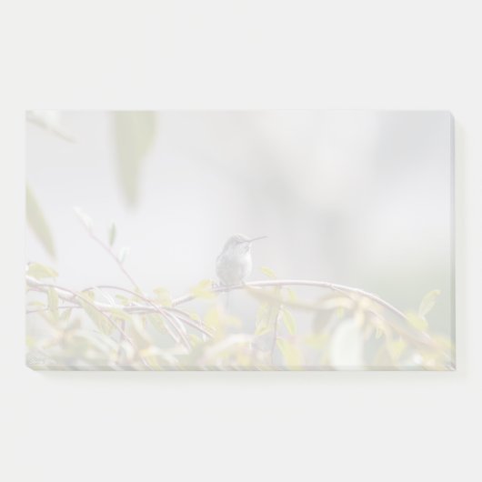 Post-it® Colibri 3346 (Devant)