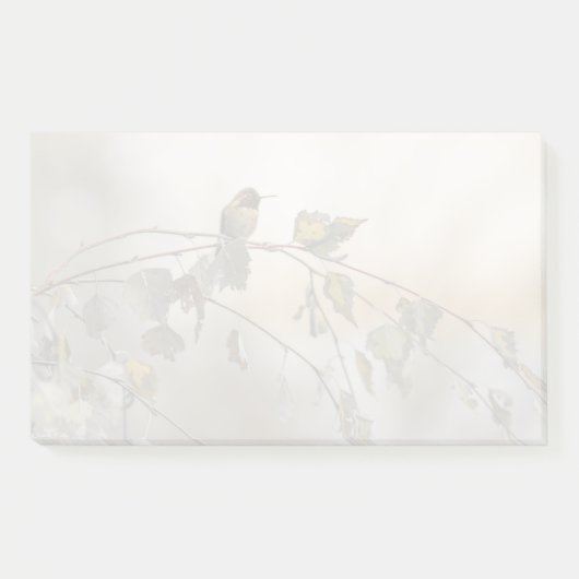 Post-it® Colibri 5265 (Devant)