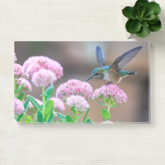 Post-it® Colibri Et Fleurs (Bureau)