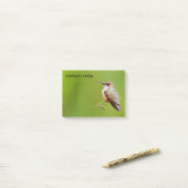 Post-it® Colibri roux sur la succursale de California Lilac (Sur un bureau)
