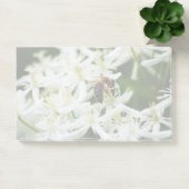 Post-it® Collecte d'automne (Bureau)