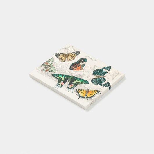 Post-it® Collection of Various Butterflies (Incliné)