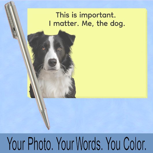 Post-it® Collie or Your Dog Photo—Stocking Stuffer Cute
