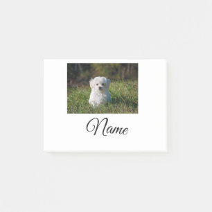 Post-it® Colorful animal add name photo custom throw