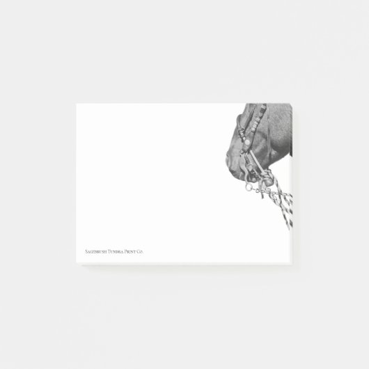 Post-it® Colt in the Two Rein - 3" x 4" Notes (Devant)
