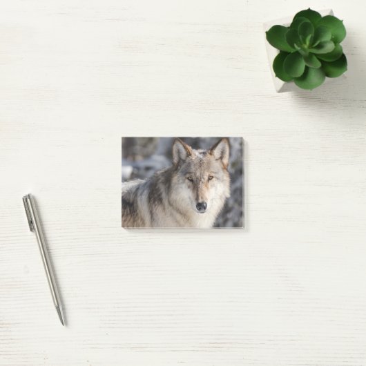 Post-it® Conception de la nature et du loup (Bureau)
