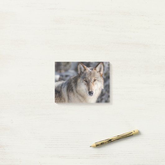 Post-it® Conception de la nature et du loup (Sur un bureau)