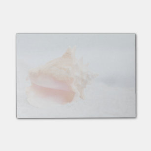 Post-it® Conque Shell
