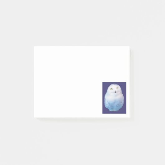 Post-it® Cool Post-it Snowy Owl (Devant)