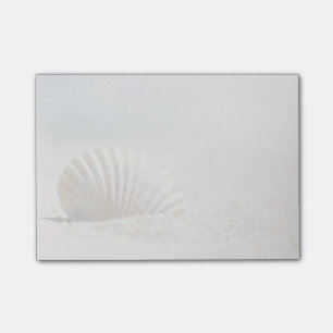 Post-it® Coquillage de Mollusk