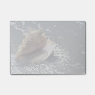 Post-it® Coquillage sur l'île de la plage Sanibel, la