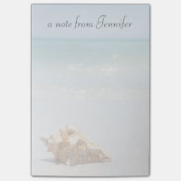 Coquille De Conque Sur La Plage| Floride, Saint-Pé