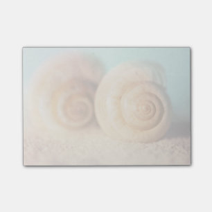 Post-it® Coquilles de Nautilus sur la plage