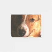 Post-it® Corgi (Devant)