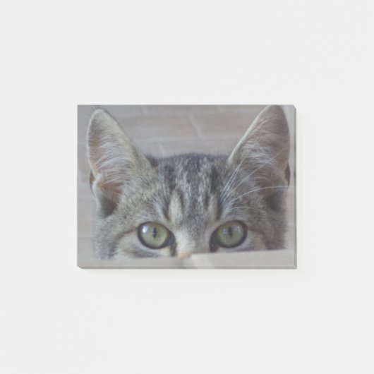 Post-it® Coucou petit chat (Devant)