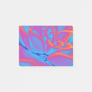 Post-it® Couleur arc-en-ciel plante Succulent