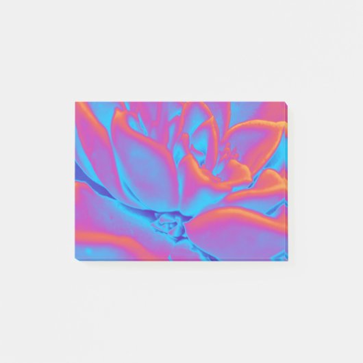 Post-it® Couleur arc-en-ciel plante Succulent (Devant)