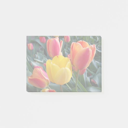 Post-it® Couleurs muettes dans votre propre photo (Devant)