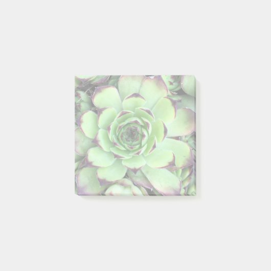 Post-it® Créez votre propre photo éclairée (Devant)