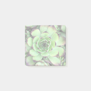 Post-it® Créez votre propre photo éclairée