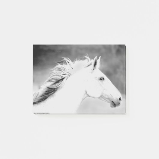 Post-it® Crinière de LIN26BW dans le Wind.tif (Devant)