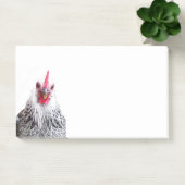 Post-it® Cute Bantam Cochin Hen Photo 10x6 Notes (Bureau)