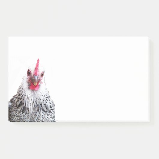 Post-it® Cute Bantam Cochin Hen Photo 10x6 Notes (Devant)
