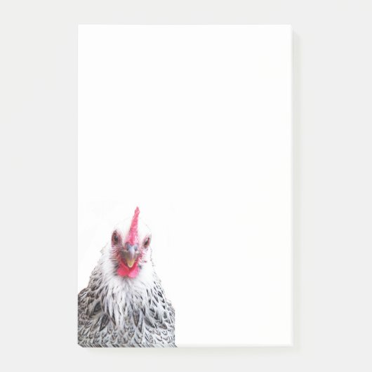 Post-it® Cute Bantam Cochin Hen Photo 4x6 Notes (Devant)