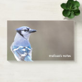 Post-it® Cute Bleu Jay Songbird sur Treestump (Bureau)